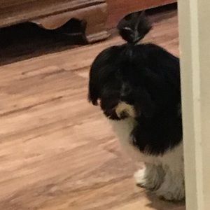 Meet your Posher, Jason